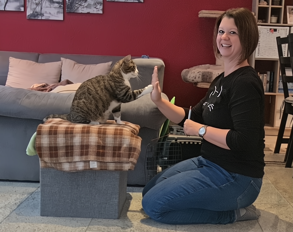 Bild für Website bestes Katzenpsychologin Angelina und Kater Reiki beim High Five